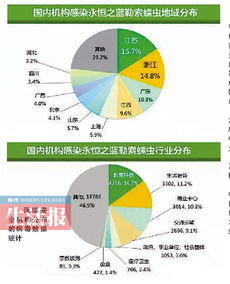 我市網絡安全態勢平穩，網絡與信息安全軟件筑牢防線
